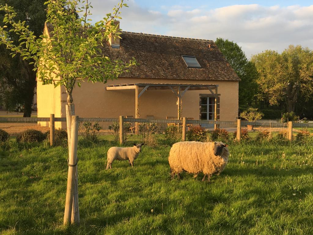 Gîte de La Hertaudière Montbizot Extérieur photo